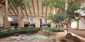 Aluminium blinds installed in living room – Eden Blinds Pretoria